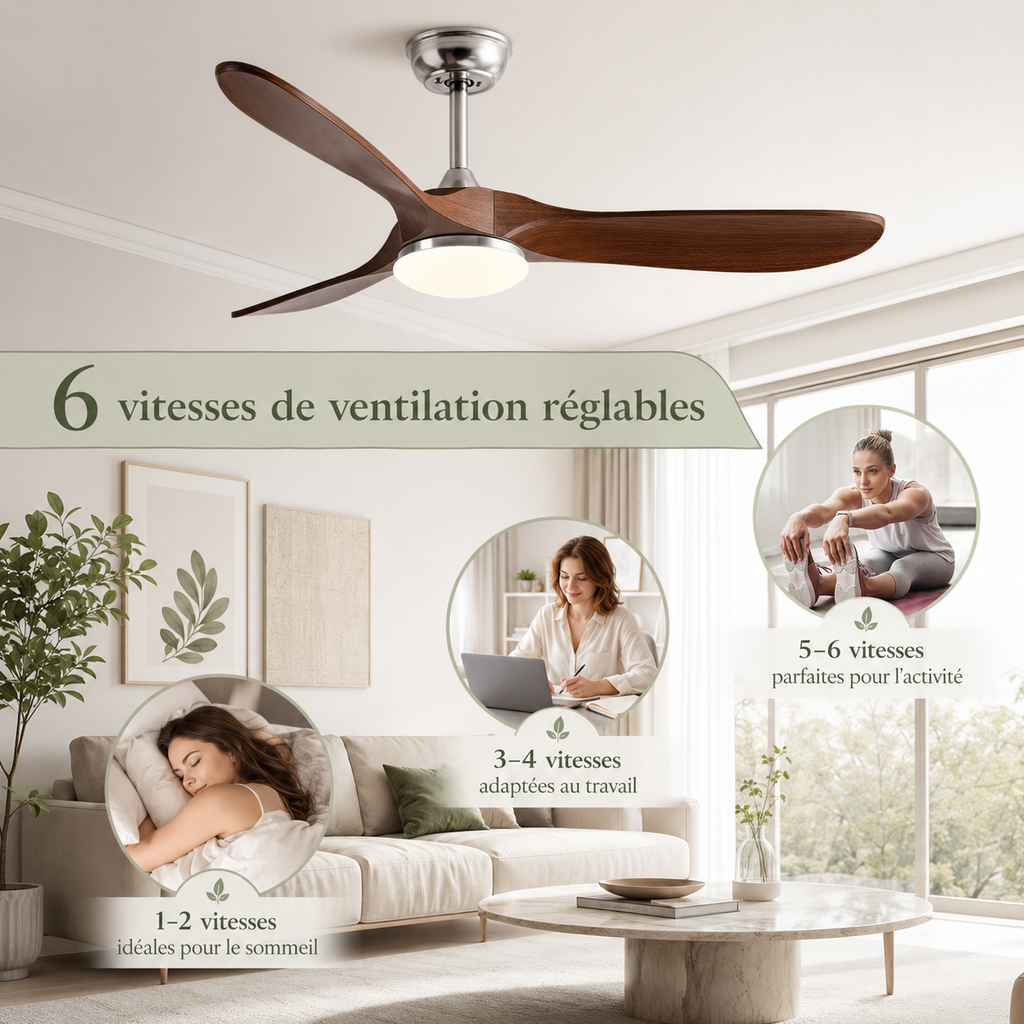 Vindra — Ventilateur de plafond moteur DC et LED