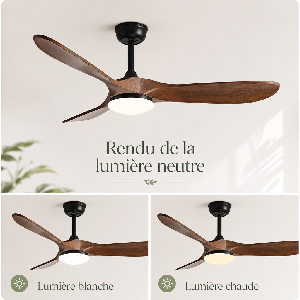 Vindra — Ventilateur de plafond moteur DC et LED